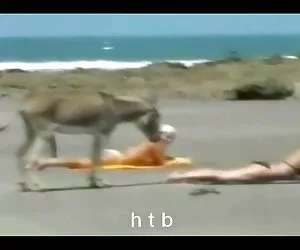 Sinsice grup porno videoları